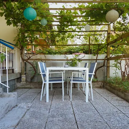 Garden House Homestay *